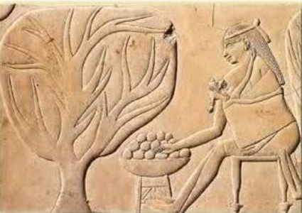 ancient baby wearing