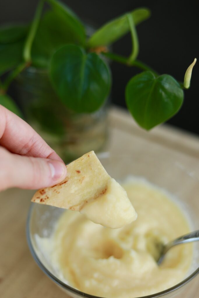 homemade tortilla chip with dip