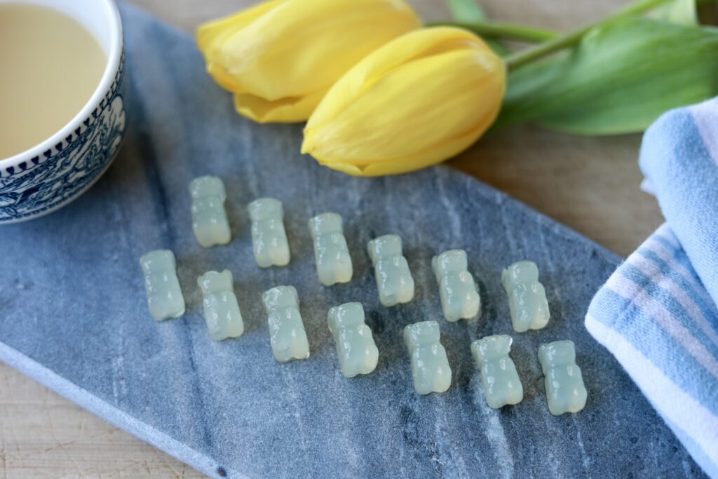 homemade gummy bears